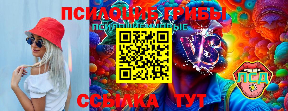 Галлюциногенные грибы мухоморы Черногорск