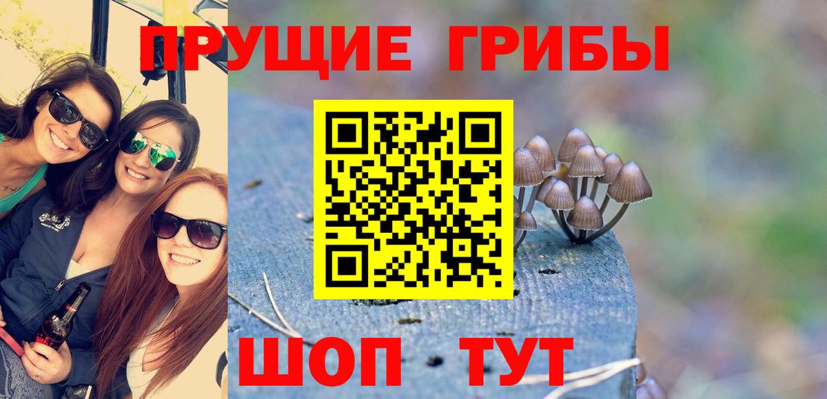Галлюциногенные грибы Magic Shrooms  Галлюциногенные грибы Psilocybe  Вход с VPN  Черногорск 